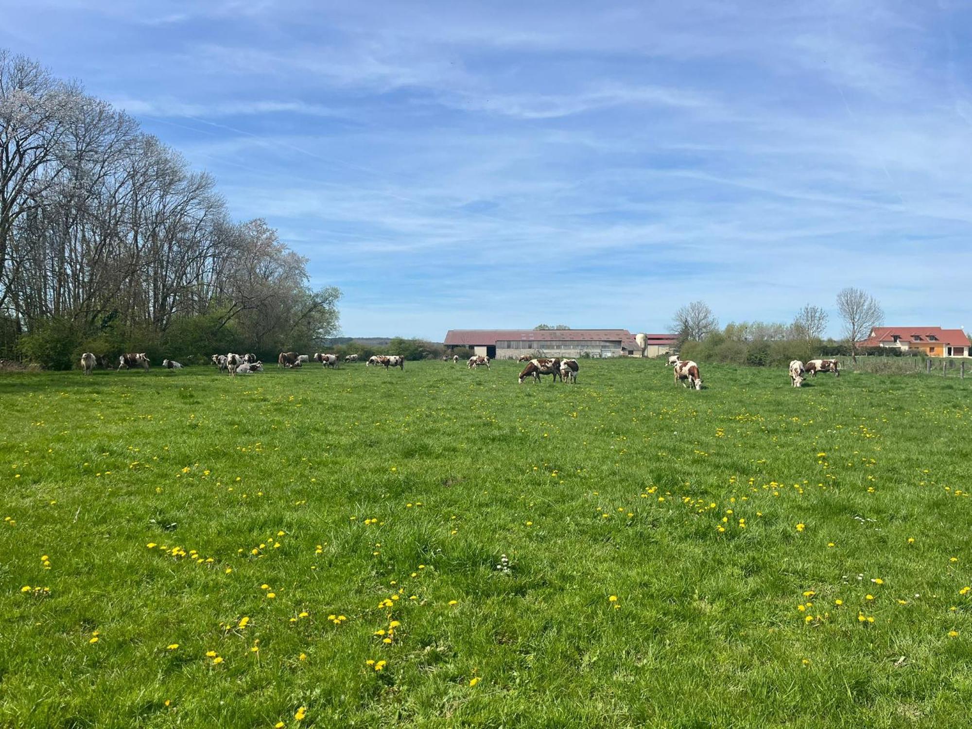 Studio Au Coeur De La Vannerie Fays-Billot ภายนอก รูปภาพ